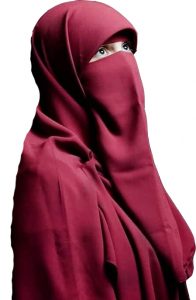Khimar Niqab - Chiffon - Colors Variety - Egyptabaya Khimar Niqab - Chiffon - Colors Variety - Egyptabaya